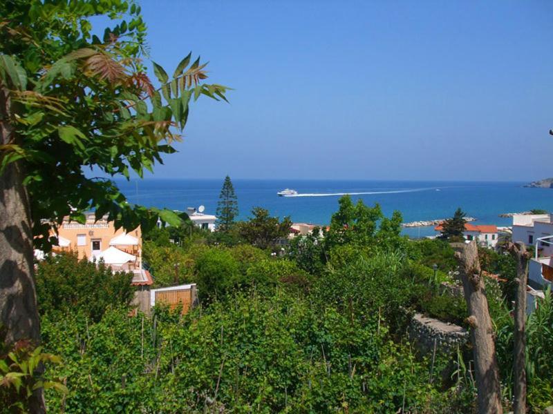 Albergo Villa Hibiscus Forio di Ischia Kültér fotó