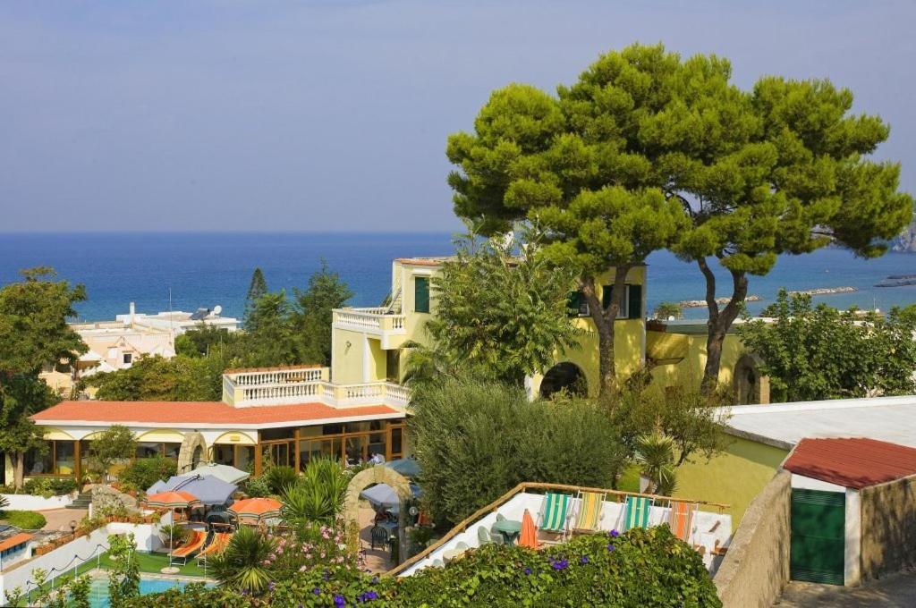 Albergo Villa Hibiscus Forio di Ischia Kültér fotó