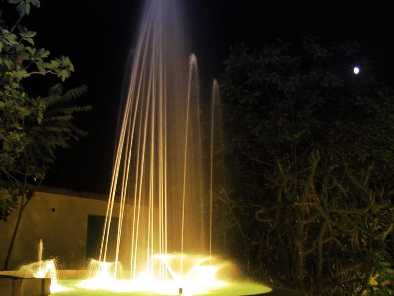Albergo Villa Hibiscus Forio di Ischia Kültér fotó